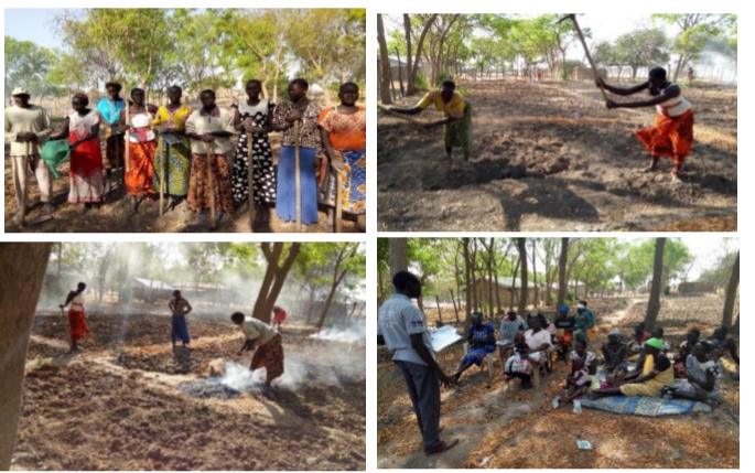 Women gather for a vegetable production training